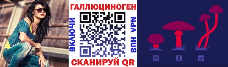 продажа наркотиков  hydra ссылка  Галлюциногенные грибы прущие грибы  Шлиссельбург 