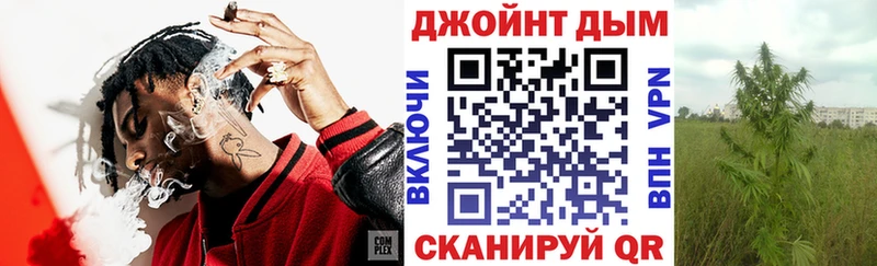KRAKEN зеркало  Шлиссельбург  Шишки марихуана семена  купить закладку 